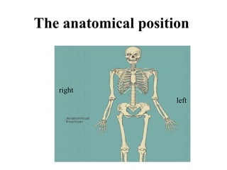 Introduction of radiological modalities.ppt