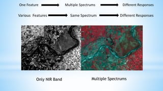 Only NIR Band Multiple Spectrums
 