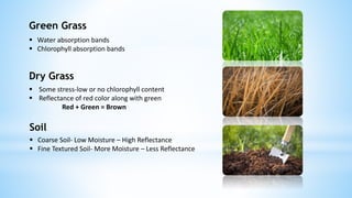 Green Grass
 Water absorption bands
 Chlorophyll absorption bands
Dry Grass
 Some stress-low or no chlorophyll content
 Reflectance of red color along with green
Red + Green = Brown
Soil
 Coarse Soil- Low Moisture – High Reflectance
 Fine Textured Soil- More Moisture – Less Reflectance
 