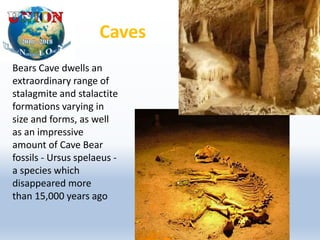 Bears Cave dwells an
extraordinary range of
stalagmite and stalactite
formations varying in
size and forms, as well
as an impressive
amount of Cave Bear
fossils - Ursus spelaeus -
a species which
disappeared more
than 15,000 years ago
Caves
 