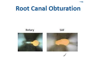Introduction of saf system | PPTX