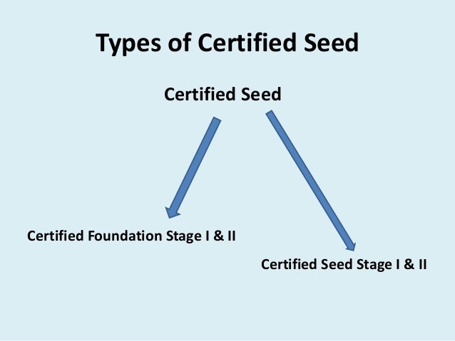 Introduction Of Seed Production