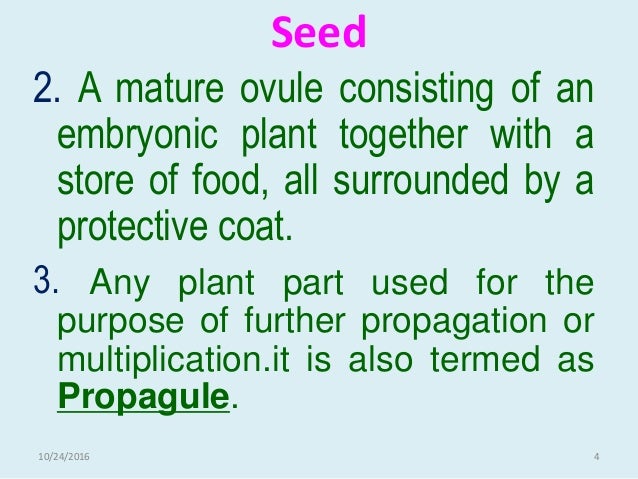 Introduction Of Seed Production