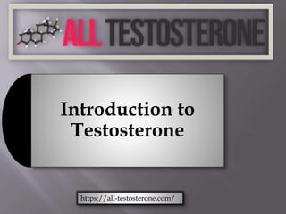 Introduction to
Testosterone
https://all-testosterone.com/
 