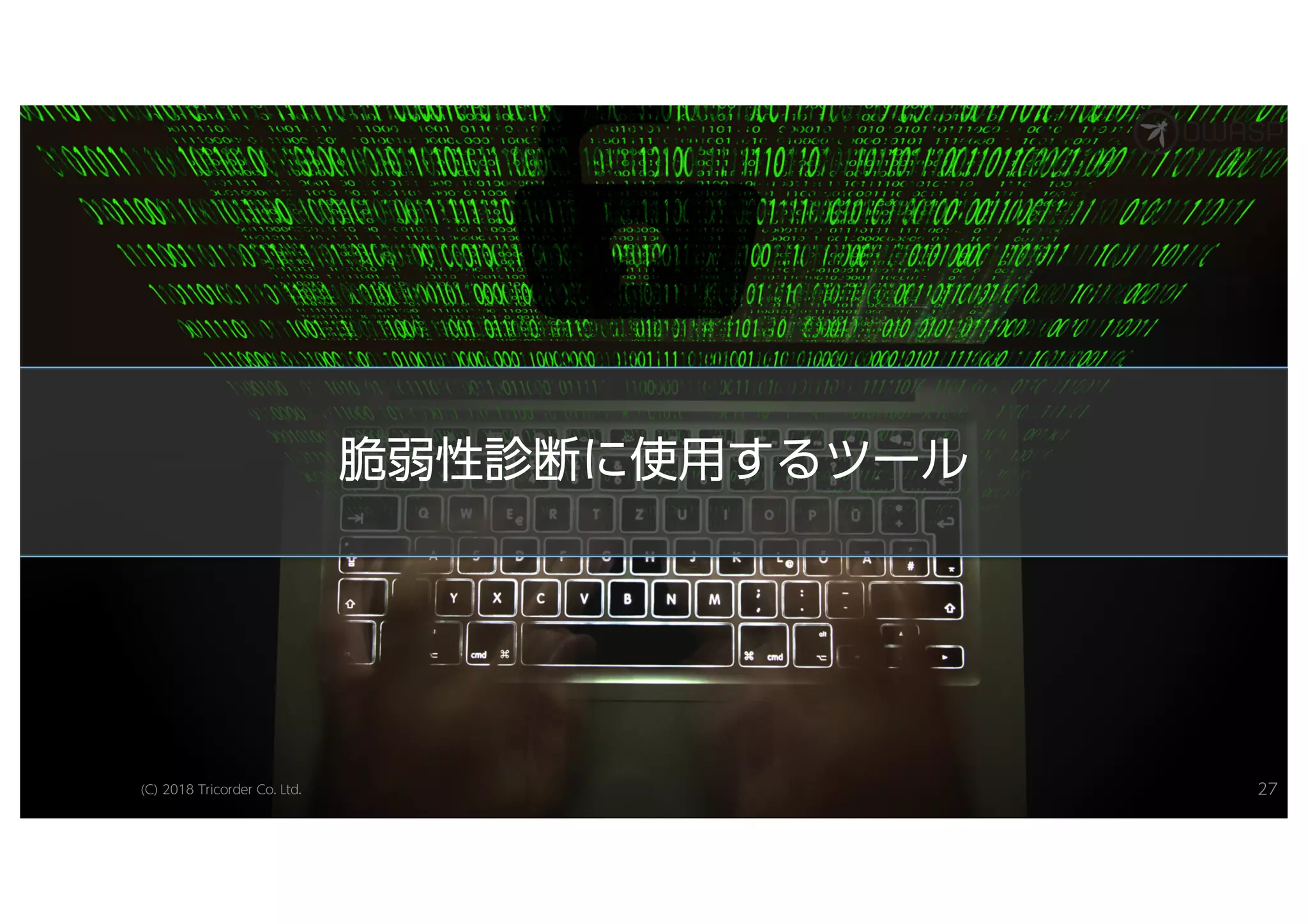 脆脆弱弱性性診診断断にに使使用用すするるツツーールル
(C) 2018 Tricorder Co. Ltd. 27
 