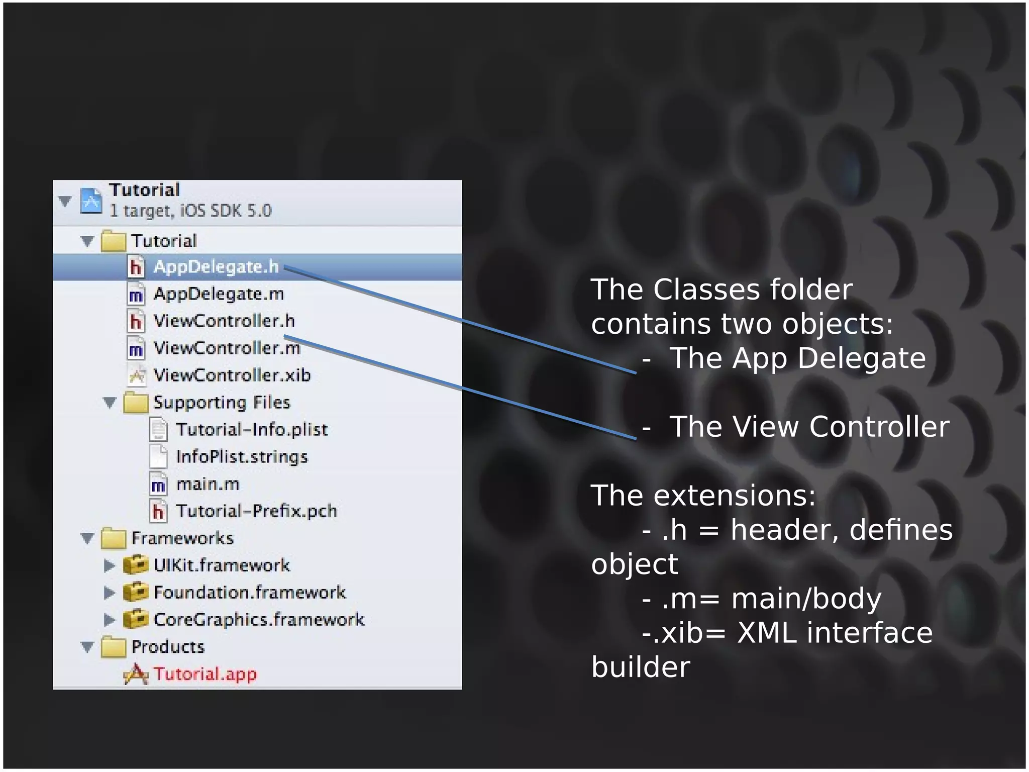 The Classes folder 
contains two objects: 
- The App Delegate 
- The View Controller 
The extensions: 
- .h = header, defines 
object 
- .m= main/body 
-.xib= XML interface 
builder 
 