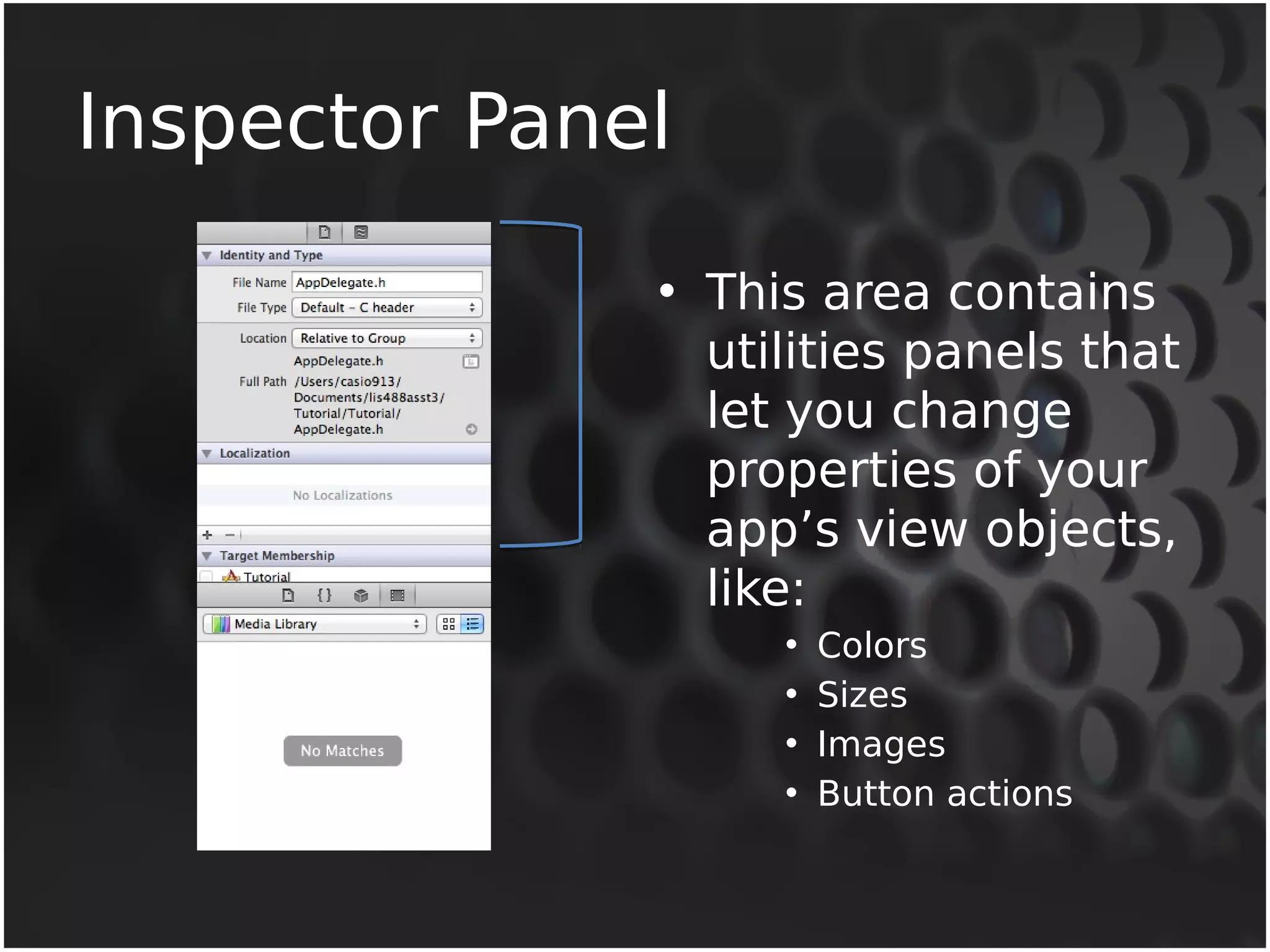 Inspector Panel 
• This area contains 
utilities panels that 
let you change 
properties of your 
app’s view objects, 
like: 
• Colors 
• Sizes 
• Images 
• Button actions 
 