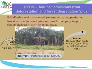 REDD - Reduced emissions from deforestation and forest degradation ‘plus’REDD-plus seeks to reward governments, companies or forest owners in developing nations for keeping tropical forests instead of cutting them down Reservoirs: forests store about 638 GtC