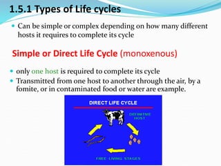 Examples Direct Livecycle introduction Para for nurse 2016 batch.ppt