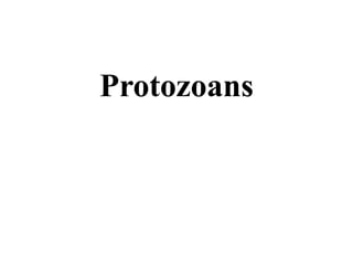 Protozoans
 