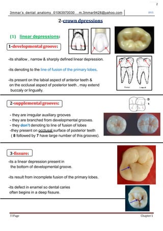 Sharp Linear Defect Tooth introduction to dental anatomy | PPTX