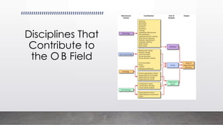 Disciplines That
Contribute to
the O B Field
 