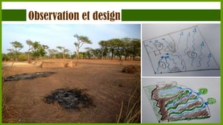 Observation et design

 