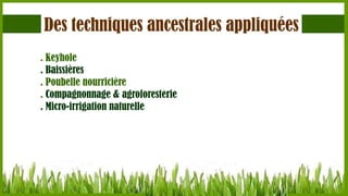 Des techniques ancestrales appliquées
. Keyhole
. Baissières
. Poubelle nourricière
. Compagnonnage & agroforesterie
. Micro-irrigation naturelle

 