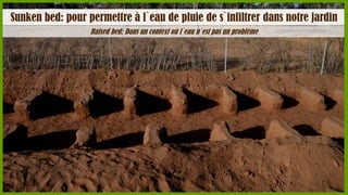 Sunken bed: pour permettre à l`eau de pluie de s`infiltrer dans notre jardin
Raised bed: Dans un context où l`eau n`est pas un problème

 