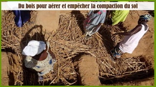 Du bois pour aérer et empêcher la compaction du sol

 