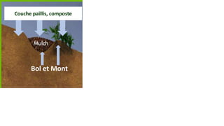 Planter dans le bol et le mont

Couche paillis, composte
Eau de pluie

Bol et Mont

L’eau est ralentie et
absorbée dans le sol

 