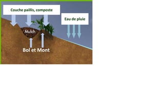 Planter dans le bol et le mont

Couche paillis, composte
Eau de pluie

Bol et Mont

L’eau est ralentie et
absorbée dans le sol

 