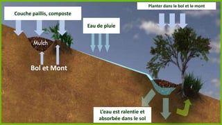 Planter dans le bol et le mont

Couche paillis, composte
Eau de pluie

Bol et Mont

L’eau est ralentie et
absorbée dans le sol

 