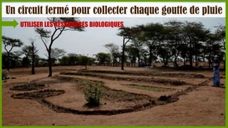 Un circuit fermé pour collecter chaque goutte de pluie
UTILISER LES RESSOURCES BIOLOGIQUES

 