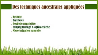 Des techniques ancestrales appliquées
. Keyhole
. Baissières
. Poubelle nourricière
. Compagnonnage & agroforesterie
. Micro-irrigation naturelle

 