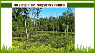 On s’inspire des écosystèmes naturels

 