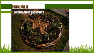 MANDALA
ENCOURAGER LES BORDURES

 