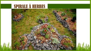 SPIRALE À HERBES

 