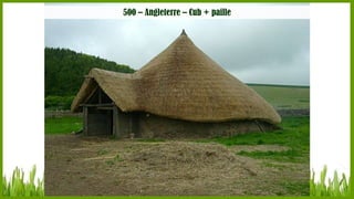 500 – Angleterre – Cub + paille

 