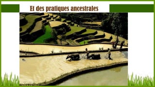Et des pratiques ancestrales

 