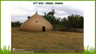 16ème siècle – Éthiopie - Bamboo

 