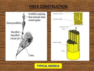 Introduction to fiber and fiber morphology. | PPTX