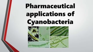 Pharmaceutical
applications of
Cyanobacteria
 