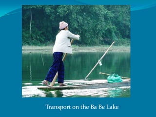 Transport on the Ba Be Lake
 