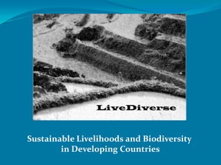 Sustainable Livelihoods and Biodiversity
        in Developing Countries
 