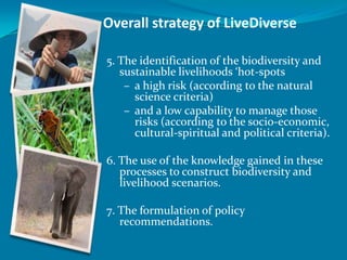 Overall strategy of LiveDiverse

5. The identification of the biodiversity and
   sustainable livelihoods ‘hot-spots
    – a high risk (according to the natural
      science criteria)
    – and a low capability to manage those
      risks (according to the socio-economic,
      cultural-spiritual and political criteria).

6. The use of the knowledge gained in these
   processes to construct biodiversity and
   livelihood scenarios.

7. The formulation of policy
   recommendations.
 