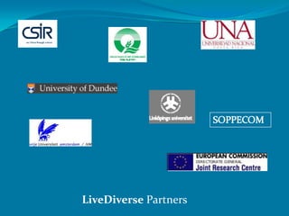LiveDiverse Partners
 