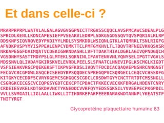 Et dans celle-ci ?
MRARPRPRPLWATVLALGALAGVGVGGPNICTTRGVSSCQQCLAVSPMCAWCSDEALPLG
SPRCDLKENLLKDNCAPESIEFPVSEARVLEDRPLSDKGSGDSSQVTQVSPQRIALRLRP
DDSKNFSIQVRQVEDYPVDIYYLMDLSYSMKDDLWSIQNLGTKLATQMRKLTSNLRIGFG
AFVDKPVSPYMYISPPEALENPCYDMKTTCLPMFGYKHVLTLTDQVTRFNEEVKKQSVSR
NRDAPEGGFDAIMQATVCDEKIGWRNDASHLLVFTTDAKTHIALDGRLAGIVQPNDGQCH
VGSDNHYSASTTMDYPSLGLMTEKLSQKNINLIFAVTENVVNLYQNYSELIPGTTVGVLS
MDSSNVLQLIVDAYGKIRSKVELEVRDLPEELSLSFNATCLNNEVIPGLKSCMGLKIGDT
VSFSIEAKVRGCPQEKEKSFTIKPVGFKDSLIVQVTFDCDCACQAQAEPNSHRCNNGNGT
FECGVCRCGPGWLGSQCECSEEDYRPSQQDECSPREGQPVCSQRGECLCGQCVCHSSDFG
KITGKYCECDDFSCVRYKGEMCSGHGQCSCGDCLCDSDWTGYYCNCTTRTDTCMSSNGLL
CSGRGKCECGSCVCIQPGSYGDTCEKCPTCPDACTFKKECVECKKFDRGALHDENTCNRY
CRDEIESVKELKDTGKDAVNCTYKNEDDCVVRFQYYEDSSGKSILYVVEEPECPKGPDIL
VVLLSVMGAILLIGLAALLIWKLLITIHDRKEFAKFEEERARAKWDTANNPLYKEATSTF
TNITYRGT

                         Glycoprotéine plaquettaire humaine ß3
 