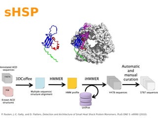 sHSP




P. Poulain, J.-C. Gelly, and D. Flatters, Detection and Architecture of Small Heat Shock Protein Monomers, PLoS ONE 5: e9990 (2010).
 