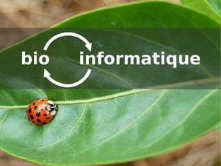 bio   informatique
 