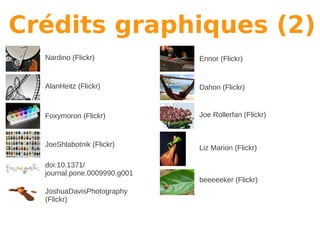 Crédits graphiques (2)
  Nardino (Flickr)            Ennor (Flickr)


  AlanHeitz (Flickr)          Dahon (Flickr)


  Foxymoron (Flickr)          Joe Rollerfan (Flickr)



  JoeShlabotnik (Flickr)      Liz Marion (Flickr)

  doi:10.1371/
  journal.pone.0009990.g001
                              beeeeeker (Flickr)
  JoshuaDavisPhotography
  (Flickr)
 