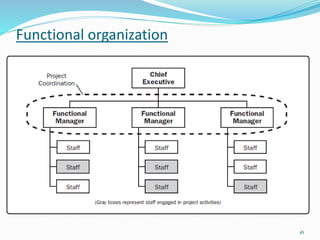 Functional organization
16
 