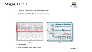 Stages 3 and 4
(a) Delta waves
(b) Slow-wave stage 3 and stage 4 sleep.
Figure 4.11
- Known as slow-wave sleep with delta waves.
- Respiration and heart rate slow down further.
 