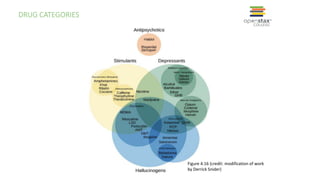 DRUG CATEGORIES
Figure 4.16 (credit: modification of work
by Derrick Snider)
 