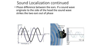 Sound Localization continued
• Phase difference between the ears. If a sound wave
originate to the side of the head the sound wave
strikes the two ears out of phase
 