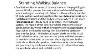 Standing Walking Balance
• Equilibrioception or sense of balance is one of the physiological
senses. It helps prevent humans and animals from falling over
when walking or standing still. Balance is the result of a number
of body systems working together: the eyes (visual system), ears
(vestibular system) and the body's sense of where it is in space
(proprioception) ideally need to be intact. The vestibular
system, the region of the inner ear where three semicircular
canals converge, works with the visual system to keep objects in
focus when the head is moving. This is called the vestibulo-
ocular reflex (VOR). The balance system works with the visual
and skeletal systems (the muscles and joints and their sensors)
to maintain orientation or balance. Visual signals sent to the
brain about the body's position in relation to its surroundings
are processed by the brain and compared to information from
the vestibular, visual and skeletal systems
 