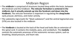 Midbrain Region
• The midbrain is comprised of structures located deep within the brain, between
the forebrain and the hindbrain. The reticular formation is centered in the
midbrain, but it actually extends up into the forebrain and down into the
hindbrain. The reticular formation is important in regulating the sleep/wake
cycle,arousal, alertness, and motor activity.
• The substantia nigra (Latin for “black substance”) and the ventral tegmental area
(VTA) are also located in the midbrain
• The hindbrain is located at the back of the head and looks like an extension of
the spinal cord. It contains the medulla, pons, and cerebellum. The medulla
controls the automatic processes of the autonomic nervous system, such as
breathing, blood pressure, and heart rate.
 