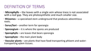 DEFINITION OF TERMS
• Microphylls – the leaves with a single vein whose trace is not associated
with a leaf gap. They are photosynthetic and much smaller size.
• Rhizomes – a specialized stem underground that produces adventitious
roots.
• Sorus/Sori – another term for sporangia
• Sporangium – it is where the spores are produced
• Sporophylls – are leaves that bears sporangia
• Sporophyte – the main plant body
• Vascular plants – are plants that have food-transporting phloem and water-
transporting xylem tissues.
 