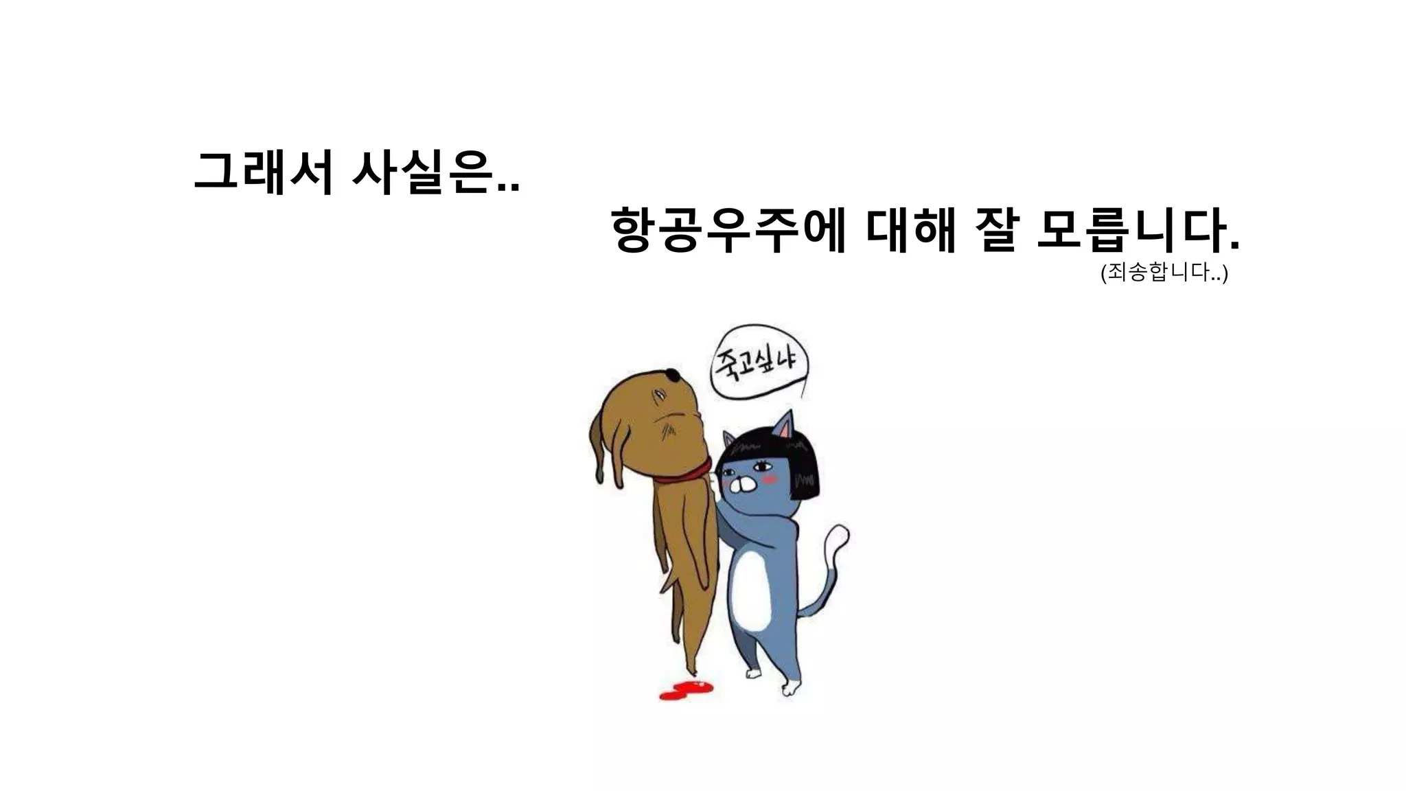 그래서 사실은..
항공우주에 대해 잘 모릅니다.
(죄송합니다..)
 