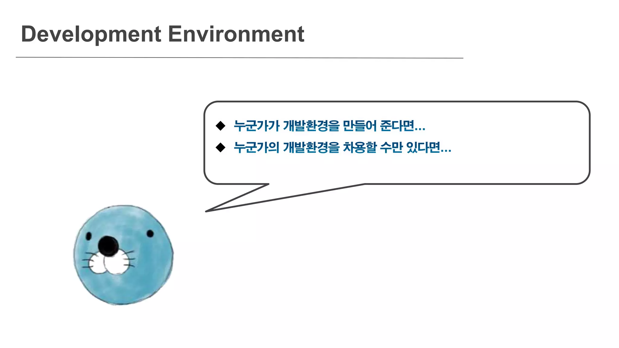 Development Environment


 